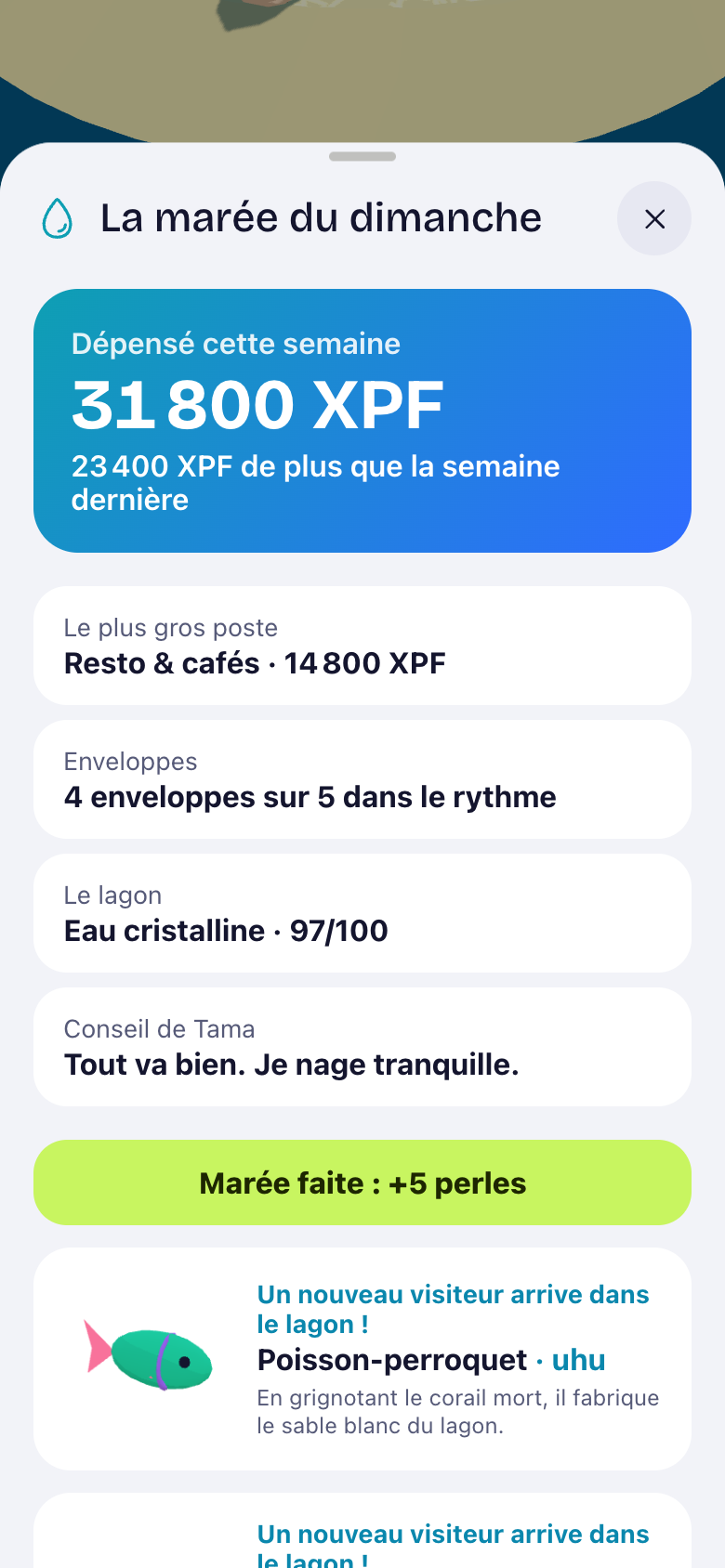 La marée du dimanche : dépenses de la semaine et poisson-perroquet qui arrive